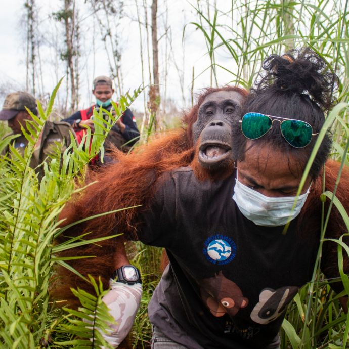 Argitoe carring Mama Rawa