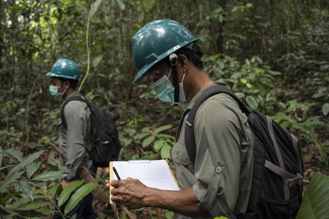 Two people surveying and patrolling the rainforest to protect wildlife in Indonesia 