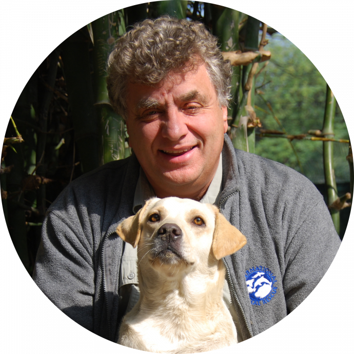 Alan profile picture